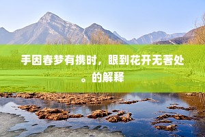 手因春梦有携时，眼到花开无著处。的解释