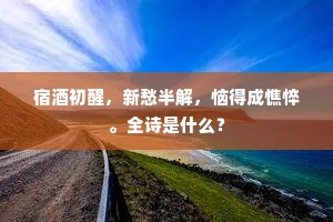 宿酒初醒，新愁半解，恼得成憔悴。全诗是什么？