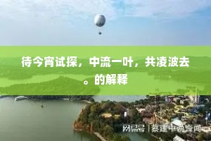 待今宵试探，中流一叶，共凌波去。的解释