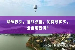 颦绿枝头，落红点里，问有愁多少。出自哪首诗？