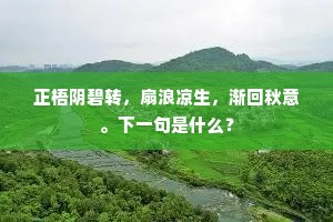 正梧阴碧转，扇浪凉生，渐回秋意。下一句是什么？