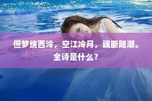 但梦绕西泠，空江冷月，魂断随潮。全诗是什么？