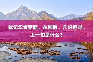 犹记华胥梦断，从别后、几许追寻。上一句是什么？