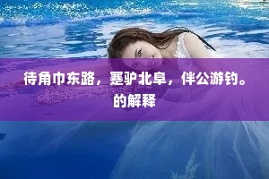 待角巾东路，蹇驴北阜，伴公游钓。的解释