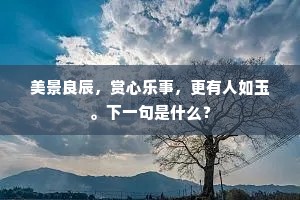 美景良辰，赏心乐事，更有人如玉。下一句是什么？