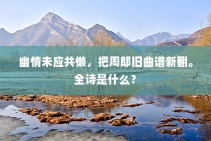 幽情未应共懒，把周郎旧曲谱新翻。全诗是什么？