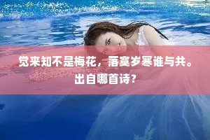 觉来知不是梅花，落寞岁寒谁与共。出自哪首诗？
