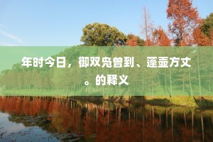 年时今日，御双凫曾到、蓬壶方丈。的释义