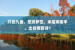 只恐九重，思贤梦觉，未屈调羹手。出自哪首诗？