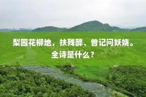 梨园花柳地，扶残醉、曾记问妖娆。全诗是什么？