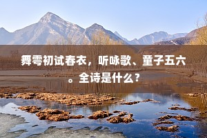 舞雩初试春衣，听咏歌、童子五六。全诗是什么？