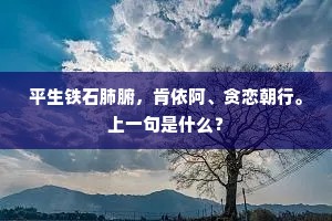 平生铁石肺腑，肯依阿、贪恋朝行。上一句是什么？