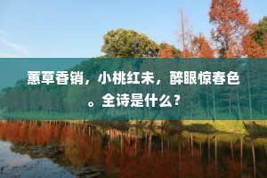 蕙草香销，小桃红未，醉眼惊春色。全诗是什么？