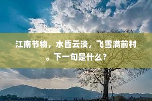 江南节物，水昏云淡，飞雪满前村。下一句是什么？