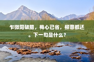 乍微阳破腊，梅心已省，柳意都还。下一句是什么？