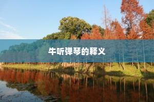 牛听弹琴的释义