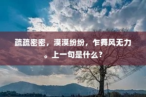 疏疏密密，漠漠纷纷，乍舞风无力。上一句是什么？