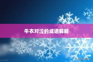 牛衣对泣的成语解释