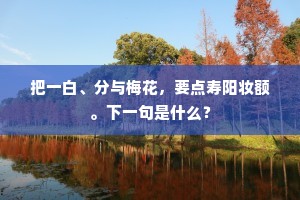 把一白、分与梅花，要点寿阳妆额。下一句是什么？