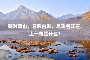 晓对青山，日吟白发，尽功名江左。上一句是什么？