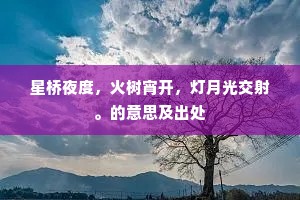 星桥夜度，火树宵开，灯月光交射。的意思及出处