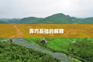 弄巧反拙的解释