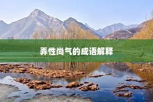 弄性尚气的成语解释