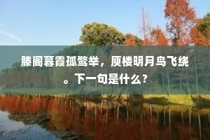 滕阁暮霞孤鹜举，庾楼明月鸟飞绕。下一句是什么？