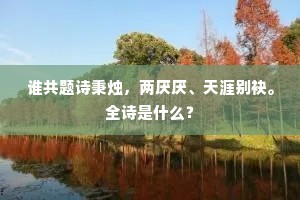 谁共题诗秉烛，两厌厌、天涯别袂。全诗是什么？