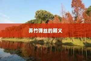 弄竹弹丝的释义