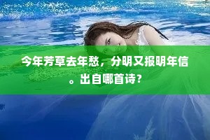今年芳草去年愁，分明又报明年信。出自哪首诗？