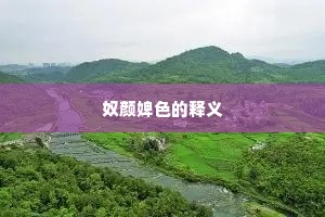 奴颜婢色的释义