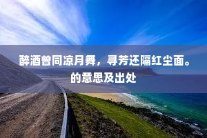 醉酒曾同凉月舞，寻芳还隔红尘面。的意思及出处