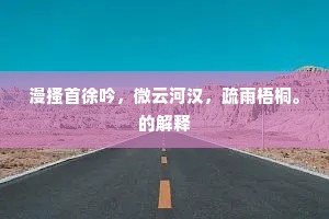漫搔首徐吟，微云河汉，疏雨梧桐。的解释