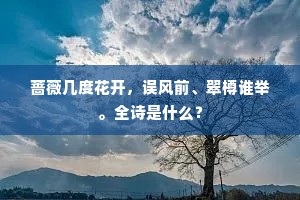 蔷薇几度花开，误风前、翠樽谁举。全诗是什么？