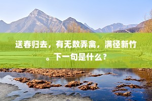 送春归去，有无数弄禽，满径新竹。下一句是什么？