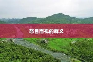怒目而视的释义