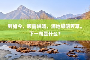 到如今，暖霭烘晴，满地绿阴芳草。下一句是什么？