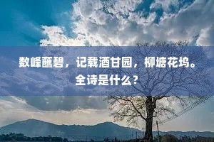 数峰蘸碧，记载酒甘园，柳塘花坞。全诗是什么？