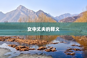 女中丈夫的释义