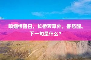 响烟惊落日，长桥芳草外，客愁醒。下一句是什么？