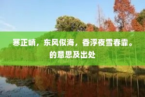 寒正峭，东风似海，香浮夜雪春霏。的意思及出处