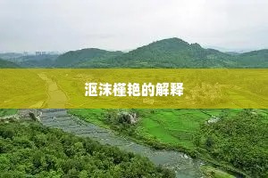 沤沫槿艳的解释