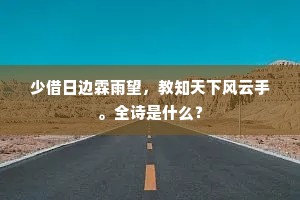 少借日边霖雨望，教知天下风云手。全诗是什么？