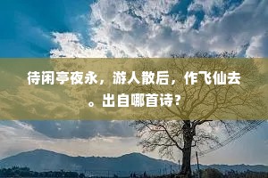 待闲亭夜永，游人散后，作飞仙去。出自哪首诗？