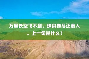 万里长空飞不到，珠帘卷尽还羞入。上一句是什么？