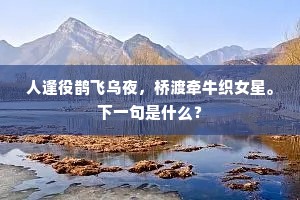 人逢役鹊飞乌夜，桥渡牵牛织女星。下一句是什么？