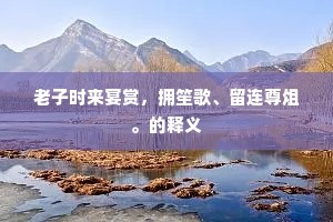 老子时来宴赏，拥笙歌、留连尊俎。的释义