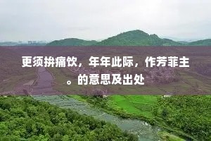 更须拚痛饮，年年此际，作芳菲主。的意思及出处
