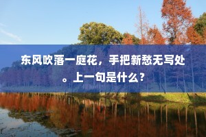东风吹落一庭花，手把新愁无写处。上一句是什么？